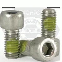 Socket Head Cap Screws, Nylon Patch, Stainless Steel 18 8 (inch)