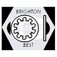 Internal Tooth Lock Washers, Plain (inch)