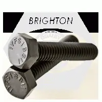 1/4in-20 x 3 1/4in Hex Tap Bolt, Grade 5, Plain, Medium Carbon (Inch)