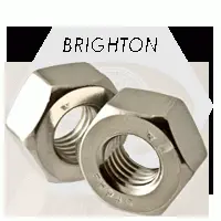 Stainless 18 8 Heavy Hex Nut (inch)