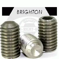 Cup Point Socket Set Screws, Stainless Steel 316 (inch)