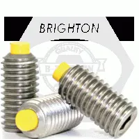 10-24 x 5/16in Nylon Tip Set Screws, Stainless Steel 18 8 (Inch)