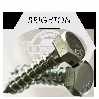 1/2 x 2 HEX LAG BOLT ZINC CR+3