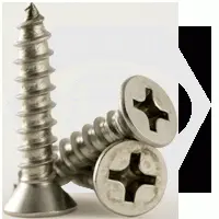 Self Tapping Screw, Phillips Flat Head, Type A, Stainless Steel 18 8 (inch)
