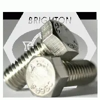 Stainless 18 8 Hhcs (inch) Astm F593