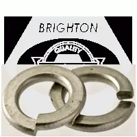 Stainless 316 Split Lock Washer (inch)