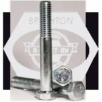 1in-8 x 16in (PT) GRADE 2 HEX CAP SCREW ZINC CR+3