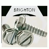 6-20 x 5/8in (FT) INDENT HWH SL TAPPING SCREWS TYPE B ZINC CR+3