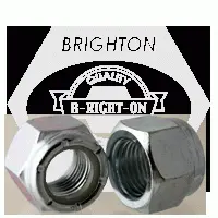 Nylon Insert Locknuts