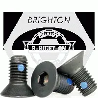 1/4in-20 x 1in Flat Socket Cap, Nylon Pellet, Black Alloy (Inch)