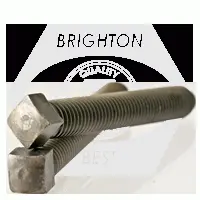 1/2 Dog Point Square Head Set Screw, Case Hardened, Plain (inch)