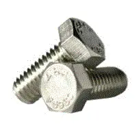 Stainless Hex Cap Screws