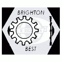 External Tooth Lock Washers, Plain (inch)