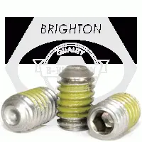 Cup Point Socket Set Screws, Nylon Patch, Stainless Steel 18 8 (inch)