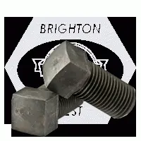 Cup Point Square Head Set Screw, Case Hardened, Fine Thread, Plain (inch)